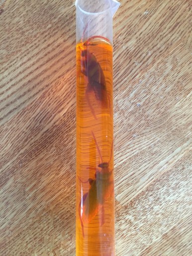 photo-jan-08-8-59-22-am