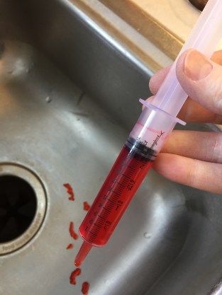 photo-jan-08-9-00-50-am