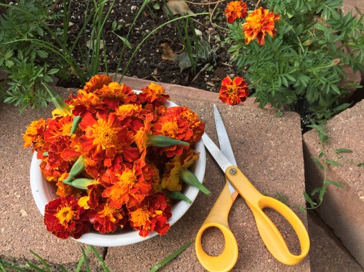 2017-09-25 15.48.29 HDR